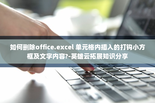 如何删除office.excel 单元格内插入的打钩小方框及文字内容?-英雄云拓展知识分享