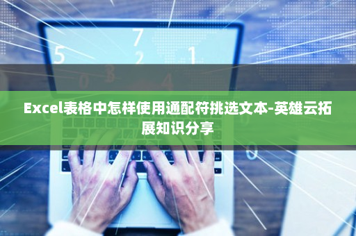 Excel表格中怎样使用通配符挑选文本-英雄云拓展知识分享