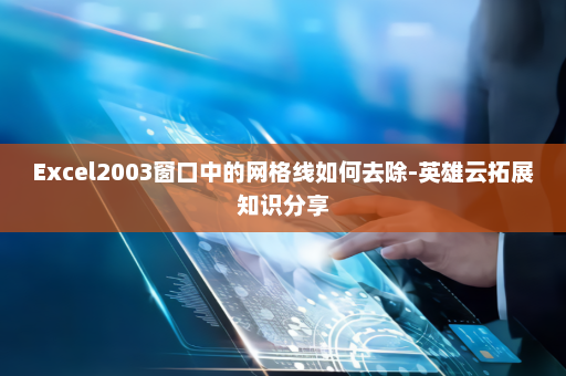 Excel2003窗口中的网格线如何去除-英雄云拓展知识分享