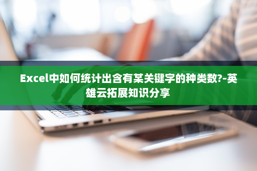 Excel中如何统计出含有某关键字的种类数?-英雄云拓展知识分享