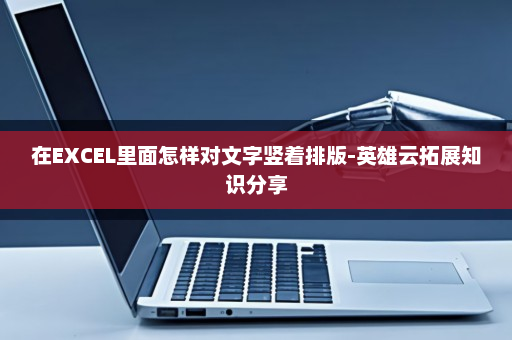 在EXCEL里面怎样对文字竖着排版-英雄云拓展知识分享