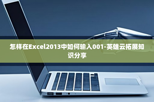 怎样在Excel2013中如何输入001-英雄云拓展知识分享