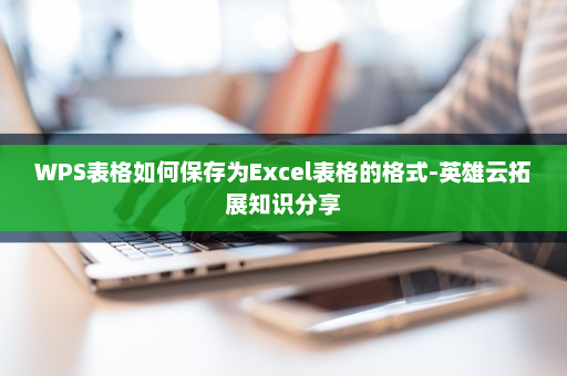 WPS表格如何保存为Excel表格的格式-英雄云拓展知识分享