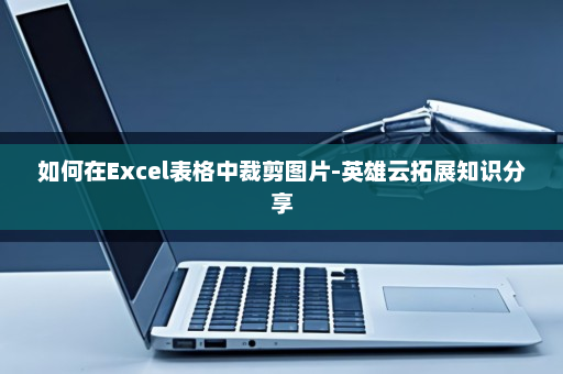 如何在Excel表格中裁剪图片-英雄云拓展知识分享