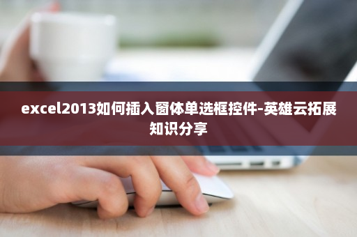 excel2013如何插入窗体单选框控件-英雄云拓展知识分享