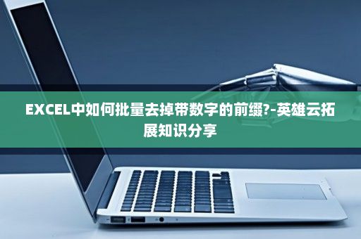 EXCEL中如何批量去掉带数字的前缀?-英雄云拓展知识分享