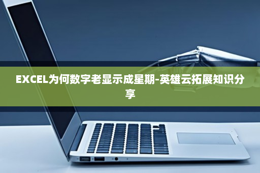 EXCEL为何数字老显示成星期-英雄云拓展知识分享