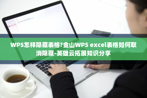 WPS怎样隐藏表格?金山WPS excel表格如何取消隐藏-英雄云拓展知识分享