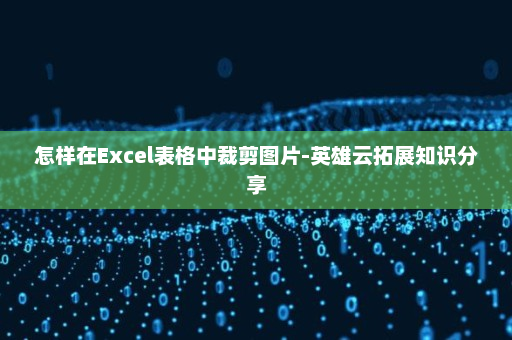 怎样在Excel表格中裁剪图片-英雄云拓展知识分享