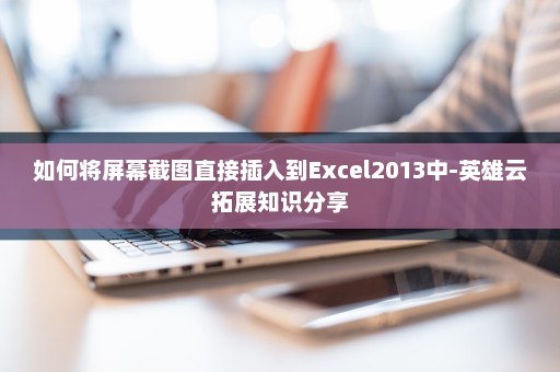 如何将屏幕截图直接插入到Excel2013中-英雄云拓展知识分享
