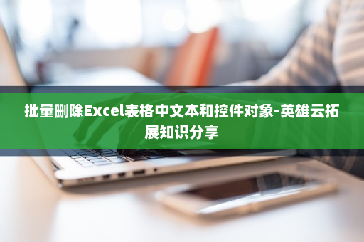 批量删除Excel表格中文本和控件对象-英雄云拓展知识分享