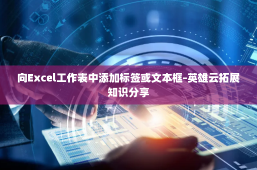 向Excel工作表中添加标签或文本框-英雄云拓展知识分享