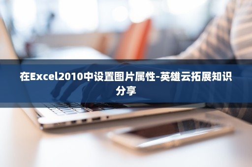 在Excel2010中设置图片属性-英雄云拓展知识分享