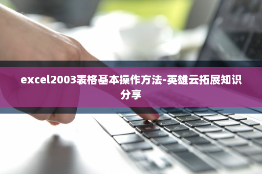 excel2003表格基本操作方法-英雄云拓展知识分享