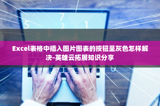 Excel表格中插入图片图表的按钮呈灰色怎样解决-英雄云拓展知识分享