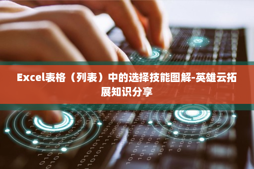 Excel表格（列表）中的选择技能图解-英雄云拓展知识分享