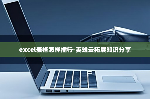 excel表格怎样插行-英雄云拓展知识分享
