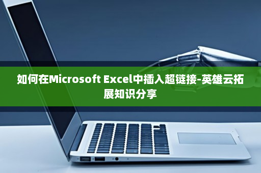 如何在Microsoft Excel中插入超链接-英雄云拓展知识分享