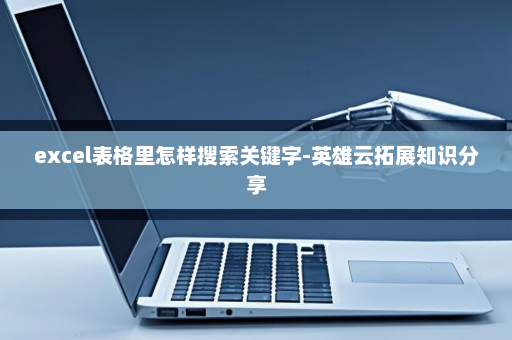 excel表格里怎样搜索关键字-英雄云拓展知识分享
