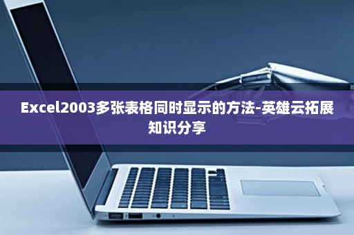 Excel2003多张表格同时显示的方法-英雄云拓展知识分享