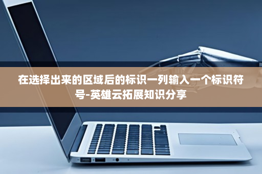 在选择出来的区域后的标识一列输入一个标识符号-英雄云拓展知识分享