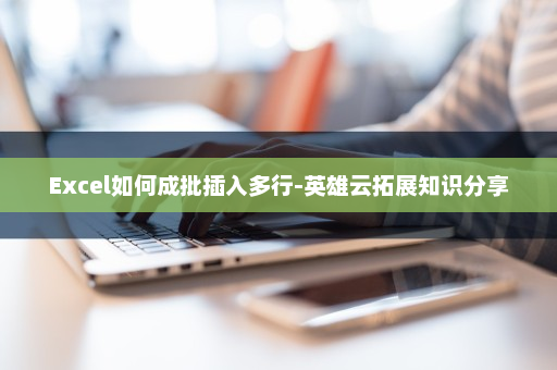 Excel如何成批插入多行-英雄云拓展知识分享