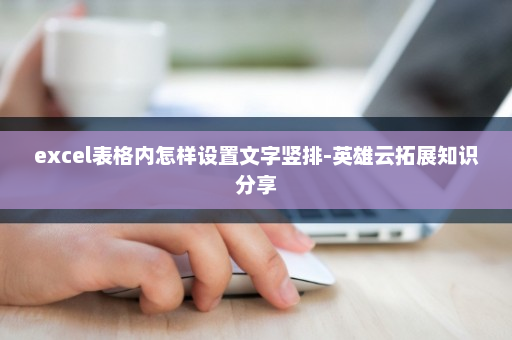 excel表格内怎样设置文字竖排-英雄云拓展知识分享