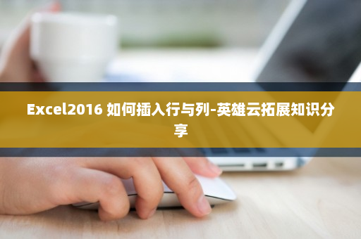 Excel2016 如何插入行与列-英雄云拓展知识分享