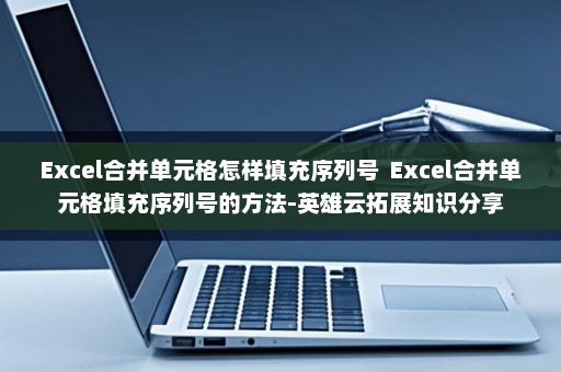 Excel合并单元格怎样填充序列号  Excel合并单元格填充序列号的方法-英雄云拓展知识分享