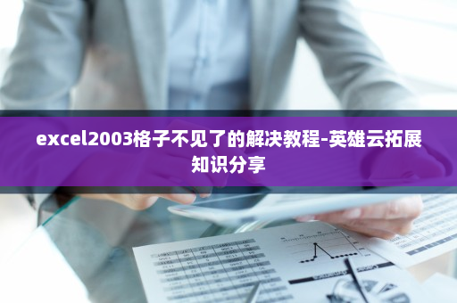 excel2003格子不见了的解决教程-英雄云拓展知识分享