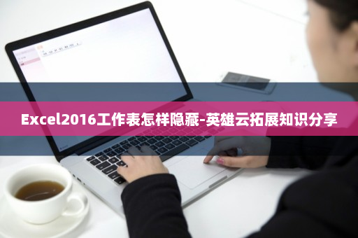 Excel2016工作表怎样隐藏-英雄云拓展知识分享