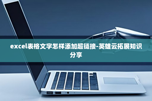 excel表格文字怎样添加超链接-英雄云拓展知识分享