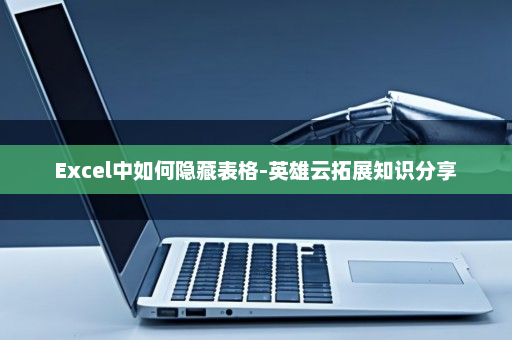 Excel中如何隐藏表格-英雄云拓展知识分享