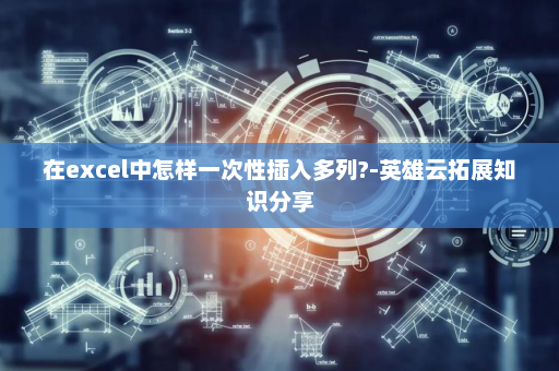在excel中怎样一次性插入多列?-英雄云拓展知识分享
