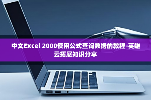 中文Excel 2000使用公式查询数据的教程-英雄云拓展知识分享