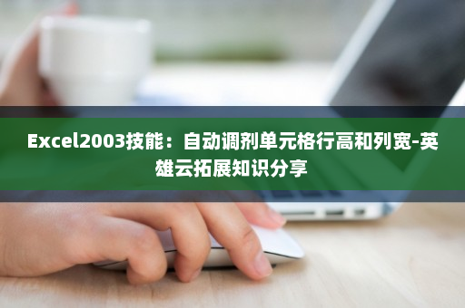 Excel2003技能：自动调剂单元格行高和列宽-英雄云拓展知识分享