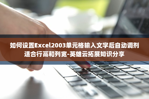 如何设置Excel2003单元格输入文字后自动调剂适合行高和列宽-英雄云拓展知识分享