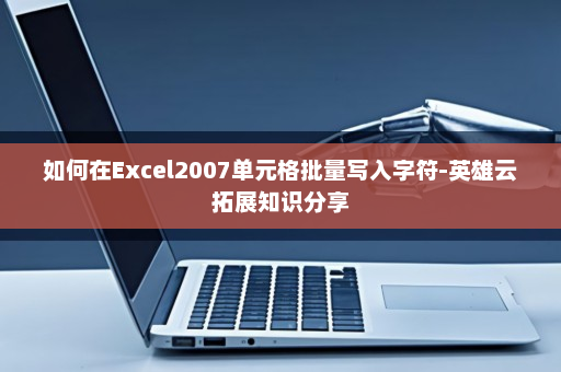 如何在Excel2007单元格批量写入字符-英雄云拓展知识分享