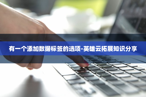 有一个添加数据标签的选项-英雄云拓展知识分享