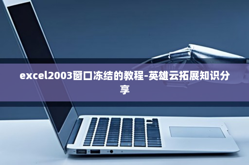 excel2003窗口冻结的教程-英雄云拓展知识分享