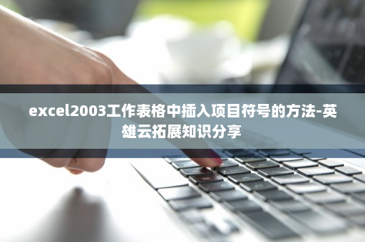 excel2003工作表格中插入项目符号的方法-英雄云拓展知识分享