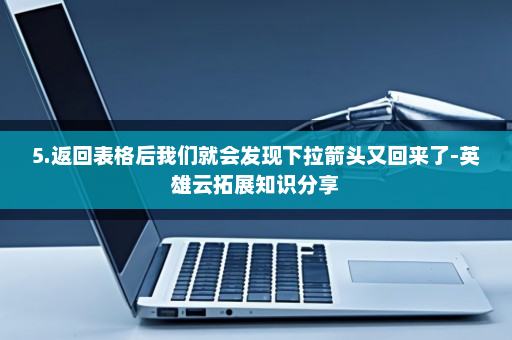 5.返回表格后我们就会发现下拉箭头又回来了-英雄云拓展知识分享