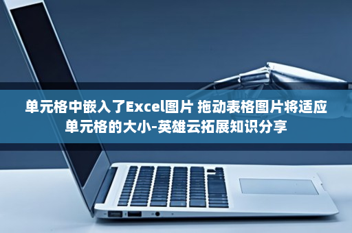 单元格中嵌入了Excel图片 拖动表格图片将适应单元格的大小-英雄云拓展知识分享
