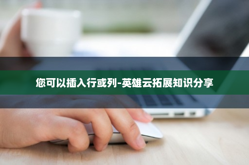 您可以插入行或列-英雄云拓展知识分享