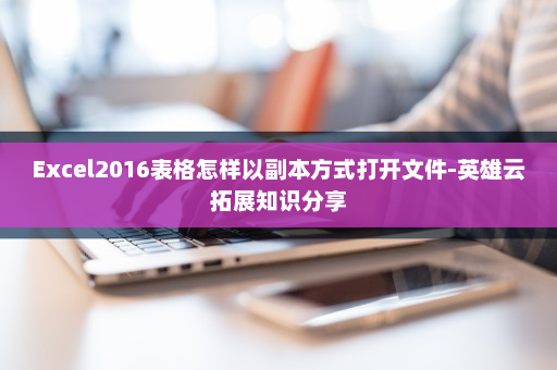 Excel2016表格怎样以副本方式打开文件-英雄云拓展知识分享