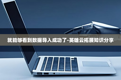 就能够看到数据导入成功了-英雄云拓展知识分享