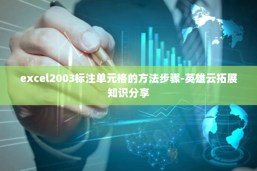 excel2003标注单元格的方法步骤-英雄云拓展知识分享