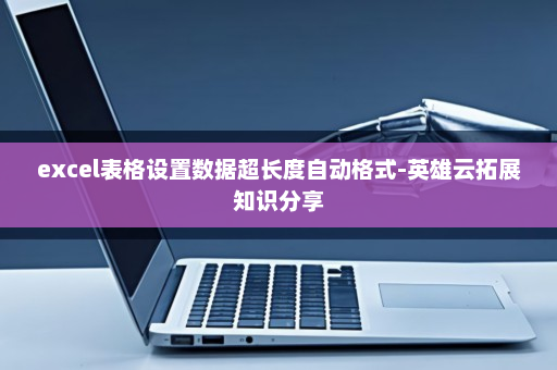 excel表格设置数据超长度自动格式-英雄云拓展知识分享