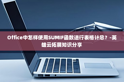 Office中怎样使用SUMIF函数进行表格计总？-英雄云拓展知识分享