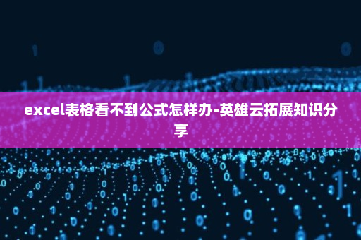 excel表格看不到公式怎样办-英雄云拓展知识分享